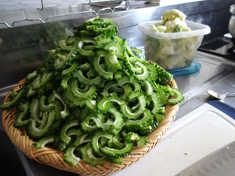 ゴーヤ茶　自然菜　無添加栽培