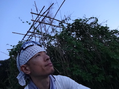 えふくら