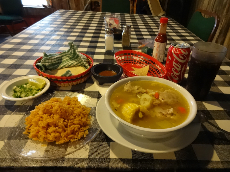 パクチー 自然菜 自給畑 無添加栽培