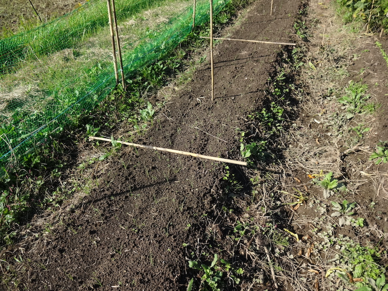 自給畑 自然菜 無添加栽培