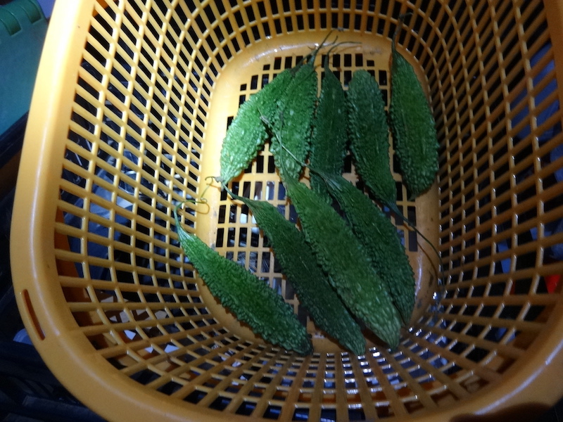 自然菜 無添加栽培