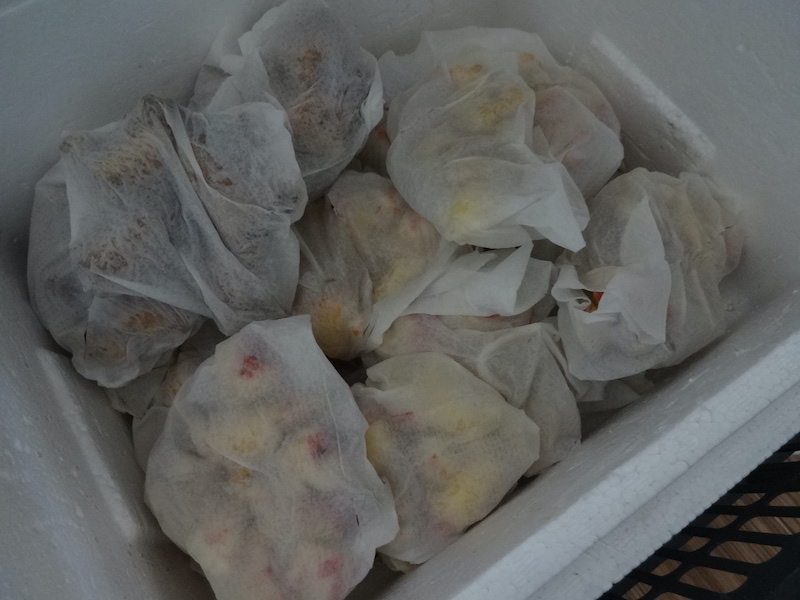 自然菜 無添加栽培