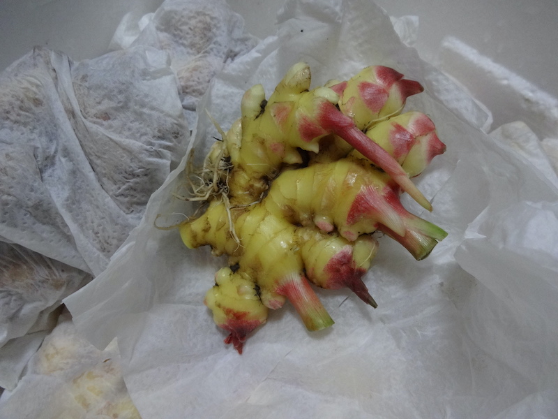 自然菜 無添加栽培