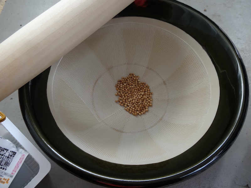 パクチー 自然菜 自給畑 無添加栽培