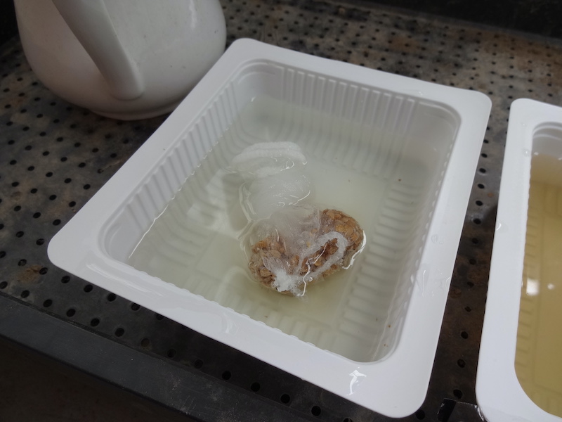 パクチー 自然菜 自給畑 無添加栽培