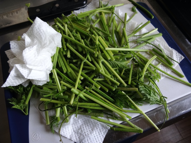 ニンジンの【茎】の薬味(生ふりかけ) 自給畑 自然菜 無添加栽培