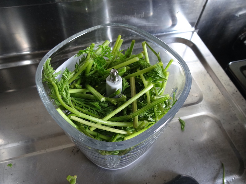 ニンジンの【茎】の薬味(生ふりかけ) 自給畑 自然菜 無添加栽培
