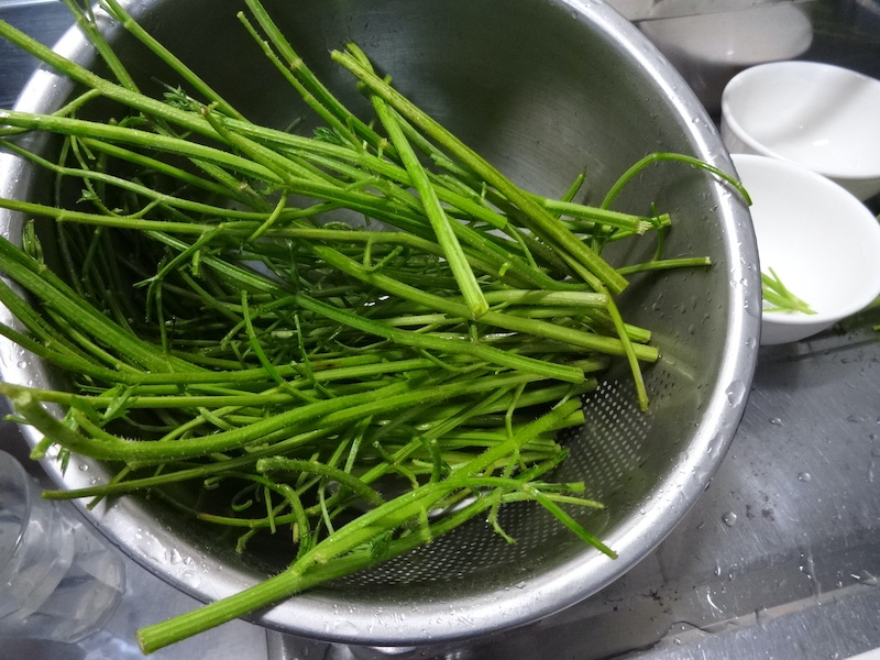 ニンジンの【茎】の薬味(生ふりかけ) 自給畑 自然菜 無添加栽培