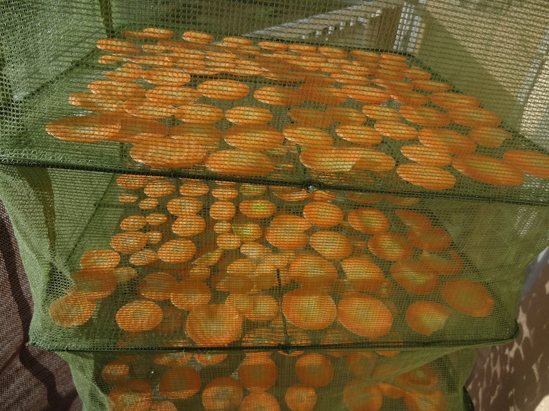 自給畑 自然菜 無添加栽培