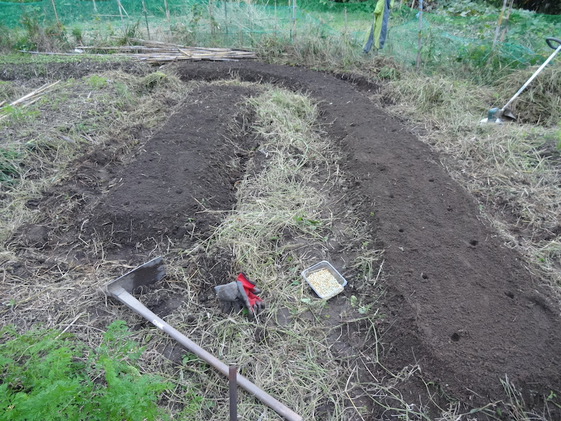 スナップ 自然菜 無添加栽培