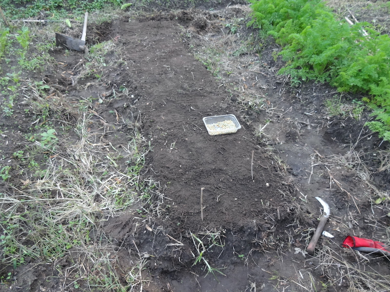 スナップ 自然菜 無添加栽培