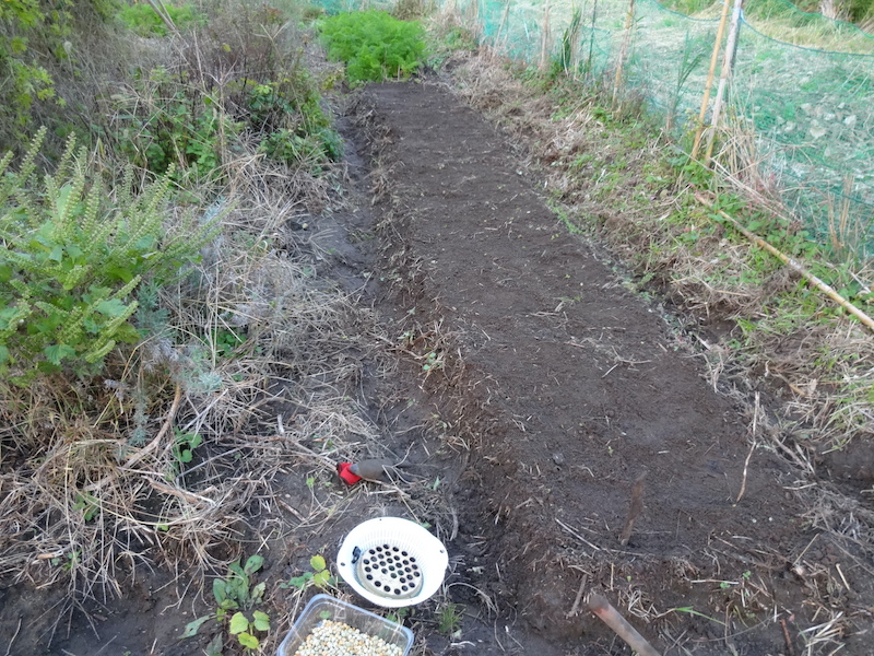 スナップ 自然菜 無添加栽培