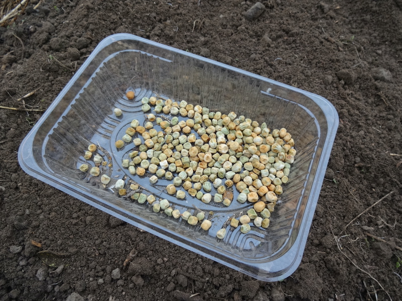 スナップ 自然菜 無添加栽培